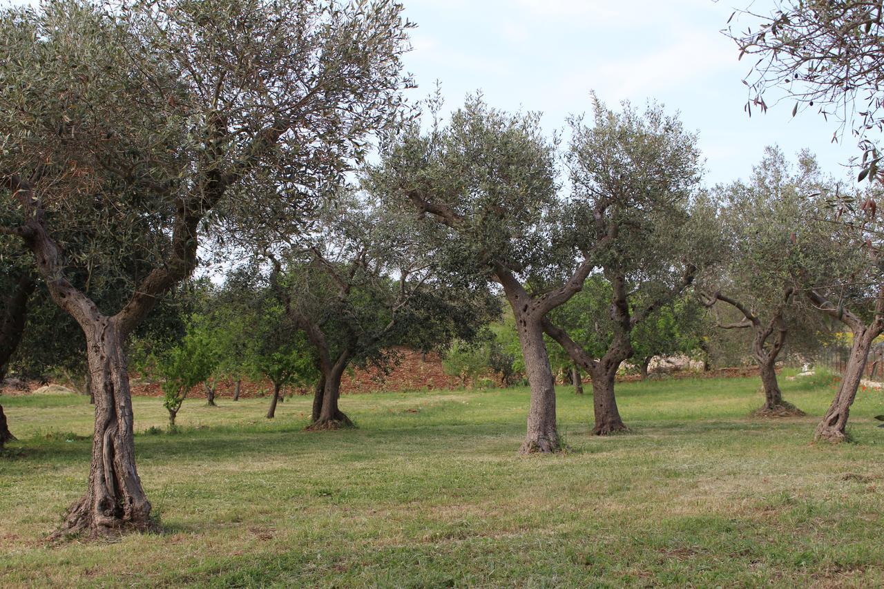 Antiche Dimore Terrarossa Alberobello Ngoại thất bức ảnh