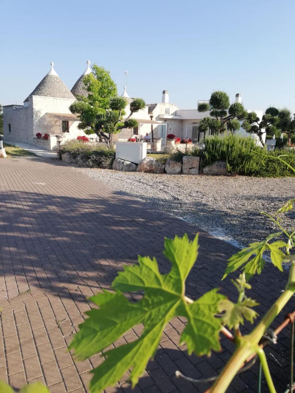 Antiche Dimore Terrarossa Alberobello Ngoại thất bức ảnh